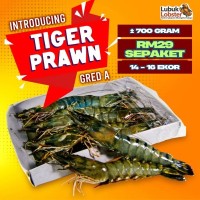 PROMO RAMADHAN RAYA Udang Harimau