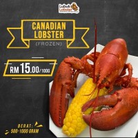 Canadian Lobster (per gram)